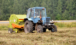 Фермеры отмечают медленные всходы посевов из-за холодной погоды