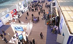 Выставки Екатеринбурга теряют экспонентов