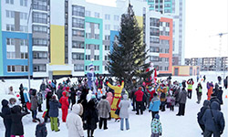 В Академическом зажгли главную елку