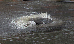 Старые сети о главном