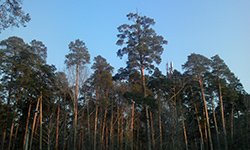 Парк РТИ продадут по частям