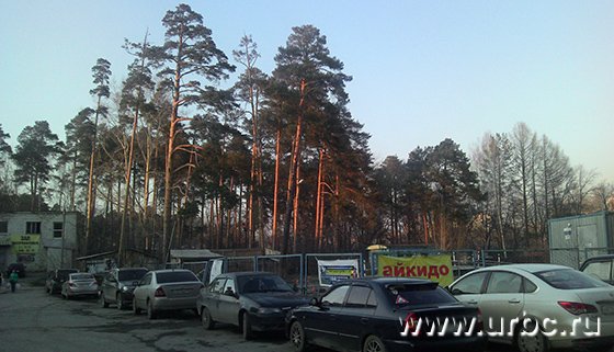 Парк РТИ продадут по частям Парк РТИ продадут по частям