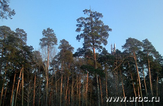 Парк РТИ продадут по частям Парк РТИ продадут по частям