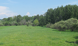 Земле нужна рекультивация