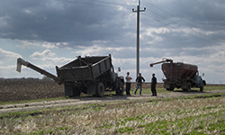 Погода против урожая