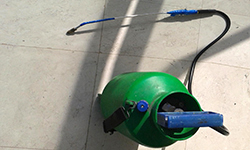 Екатеринбург атаковали насекомые. Фотография предоставлена сайтом morguefile.com (gracemary)