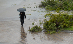 Погода мешает работать и отдыхать