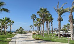 «Вирусный» отдых