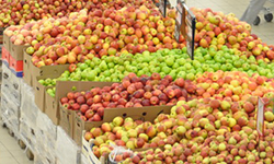 Урожай запоздал на месяц