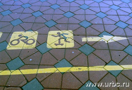 Разметка велодорожек