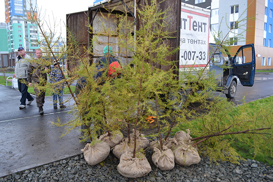 Фотография предоставлена пресс-службой ЗАО «РСГ-Академическое» Фотография предоставлена пресс-службой ЗАО «РСГ-Академическое»