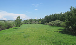 На Урале упал спрос на земельные участки