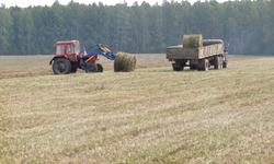 Агробизнес теряет привлекательность