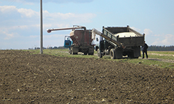 Полям не хватает снега