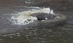 На произвол трубы