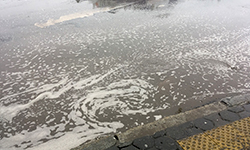 «Никто не обещал идеальной чистоты»