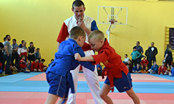 В Академическом самбисты вышли на ковер. Фотография предоставлена пресс-службой АО «РСГ-Академическое»