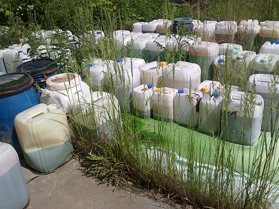 Фотография предоставлена жителем Каменска-Уральского Фотография предоставлена жителем Каменска-Уральского