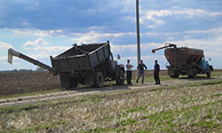 Посевная в условиях штормового предупреждения