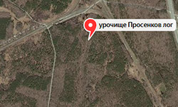 Поросенков спор. Фрагмент скриншота сервиса Яндекс.Карты