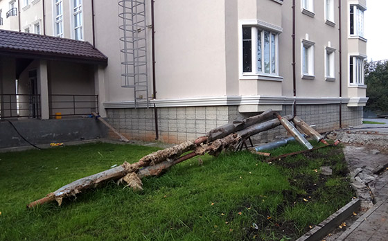 Фотография предоставлена пайщиками «Бухты Квинс» Фотография предоставлена пайщиками «Бухты Квинс»