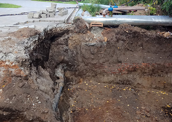 Фотография предоставлена пайщиками «Бухты Квинс» Фотография предоставлена пайщиками «Бухты Квинс»