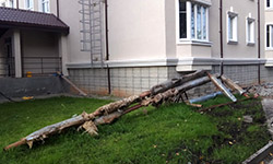 «Бухта Квинс»: проблемы не решены. Фотография предоставлена пайщиками «Бухты Квинс»