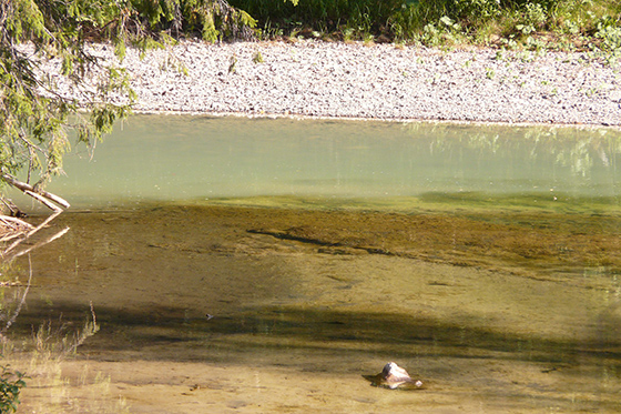 Фотография пресс-службы заповедника «Денежкин Камень»