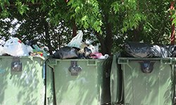 Последняя попытка «мусорной реформы»