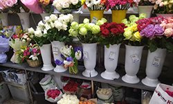 Цветы бьют по карману