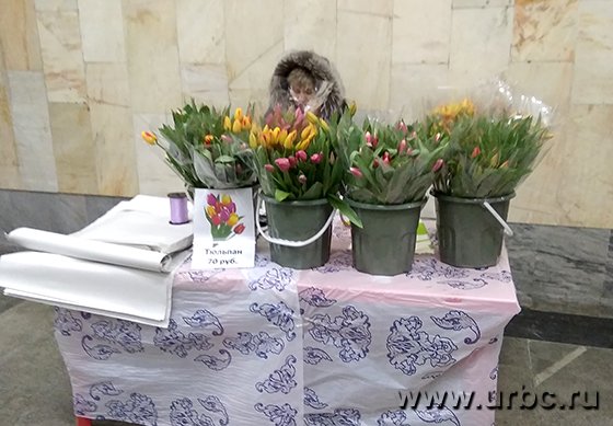 Цветы бьют по карману Цветы бьют по карману