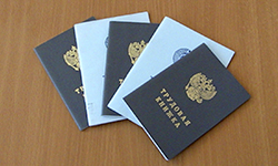 Рабочее место под солнцем