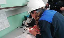 Под тотальным контролем