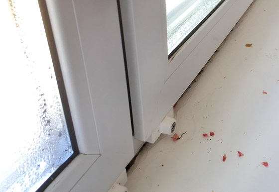 Фотография предоставлена жильцом одного из домов ЖК «Просторы»