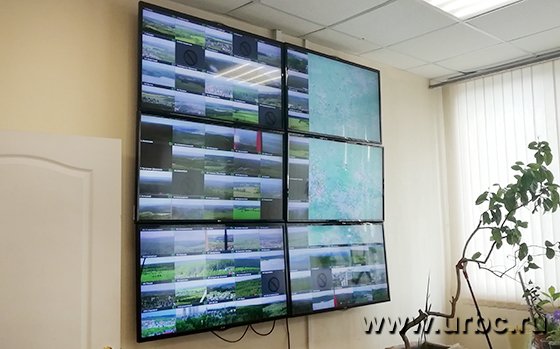 «МегаФон» на страже леса