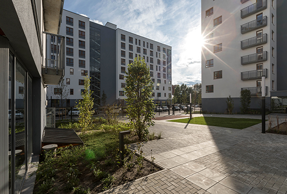 Фотография предоставлена компанией «Брусника»