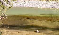 Фотография пресс-службы заповедника «Денежкин Камень»