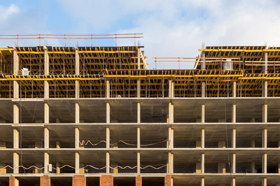 Фотография предоставлена пресс-службой компании Брусника