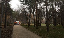 «Работы выполнены в срок»