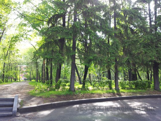 В Екатеринбурге завершается опрос по благоустройству парков