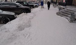 Снежный паралич