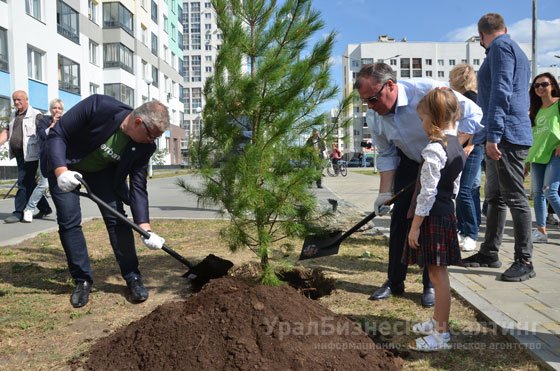 Зеленый Академический