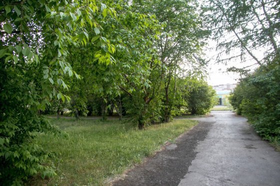 Реконструкция с обратной связью