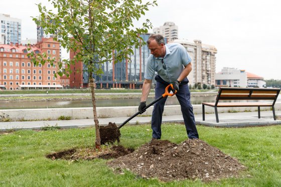 Набережной дали зеленый свет