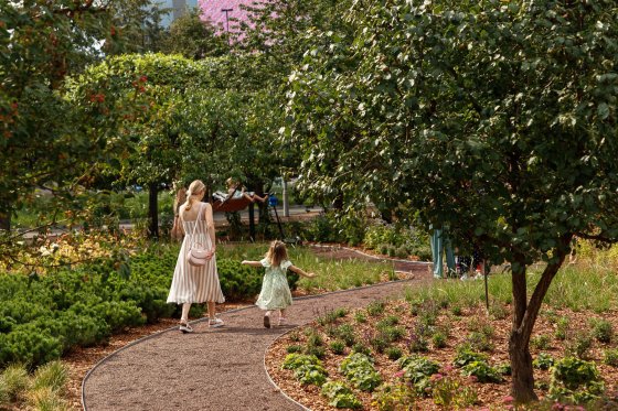 Набережной дали зеленый свет