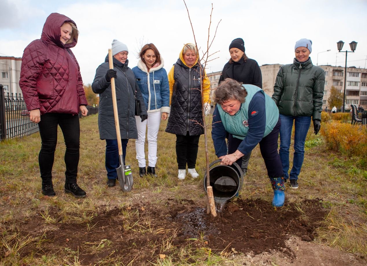 В 2022 году при поддержке ЕВРАЗа в Нижнем Тагиле и Качканаре высадят 550 деревьев В 2022 году при поддержке ЕВРАЗа в Нижнем Тагиле и Качканаре высадят 550 деревьев