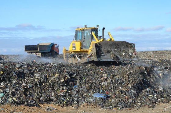 На смену мусору — зелень