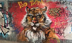 Операция «Антиграффити»