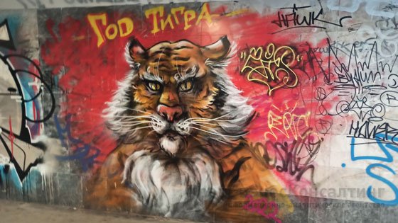 Операция «Антиграффити»