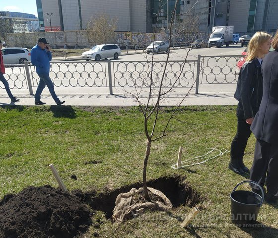 В Екатеринбурге впервые отпраздновали Уральский день туризма В Екатеринбурге впервые отпраздновали Уральский день туризма